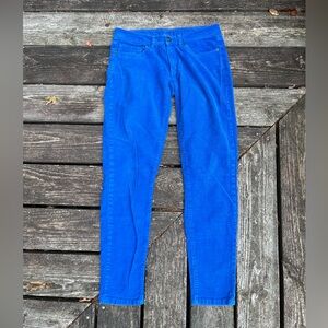Women’s Patagonia Electric Blue Corduroy Bootcut Pants Size 28